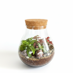 Sljedeća slika proizvoda